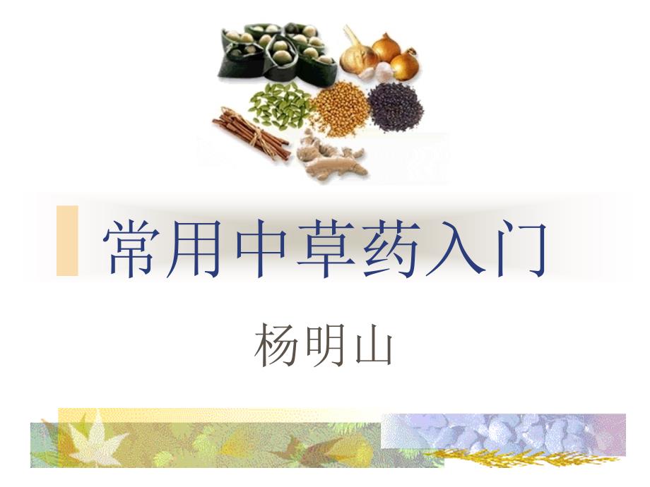 中藥中級教學(xué)資料常用中草藥入門PPT課件_第1頁