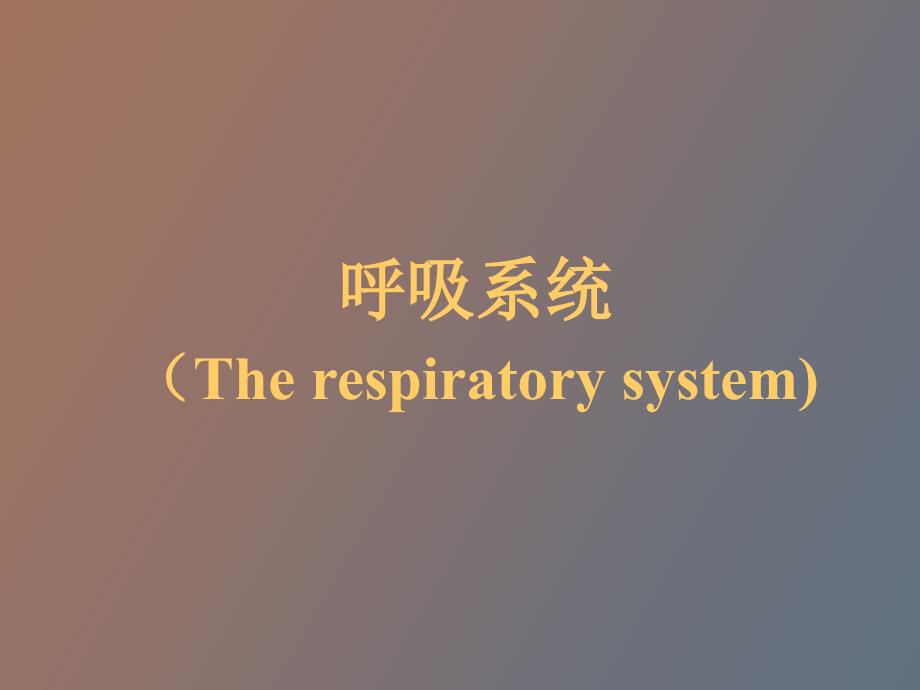 病理学呼吸系统精美课件附大量_第1页