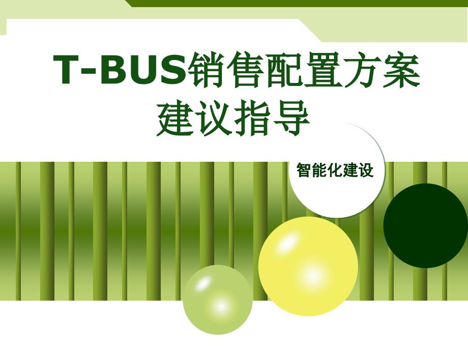 T-BUS豪宅配置方案建议指导_第1页