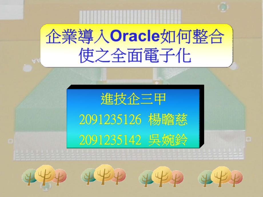 企业导入Oracle如何整合使之全面电子化_第1页