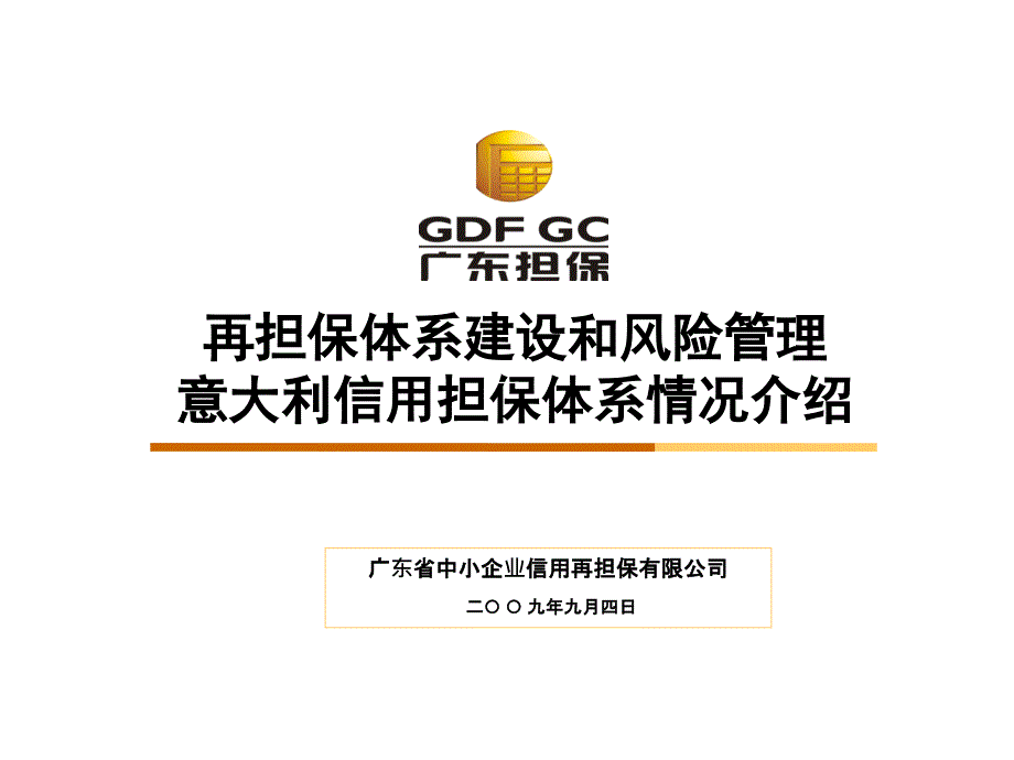 再担保体系建设和风险管理讲义_第1页