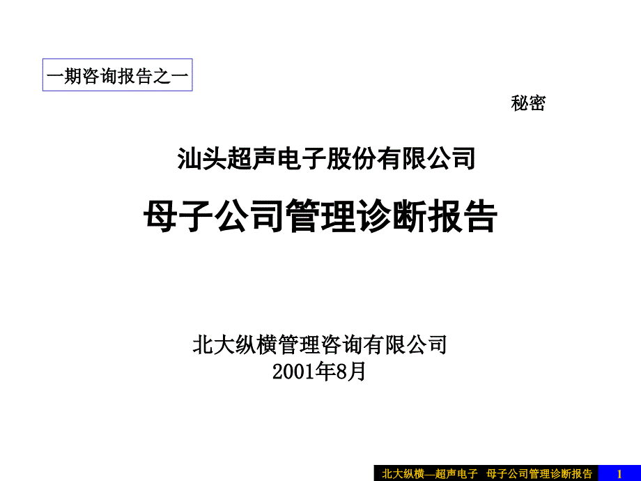 北纵母子公司管理诊断报告_第1页