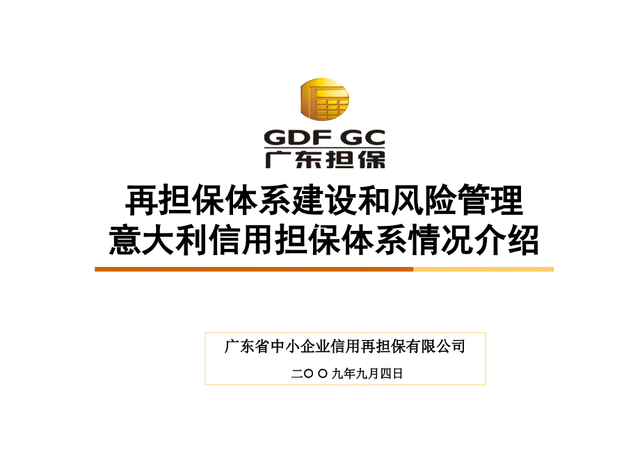 再担保体系建设和风险管理_第1页