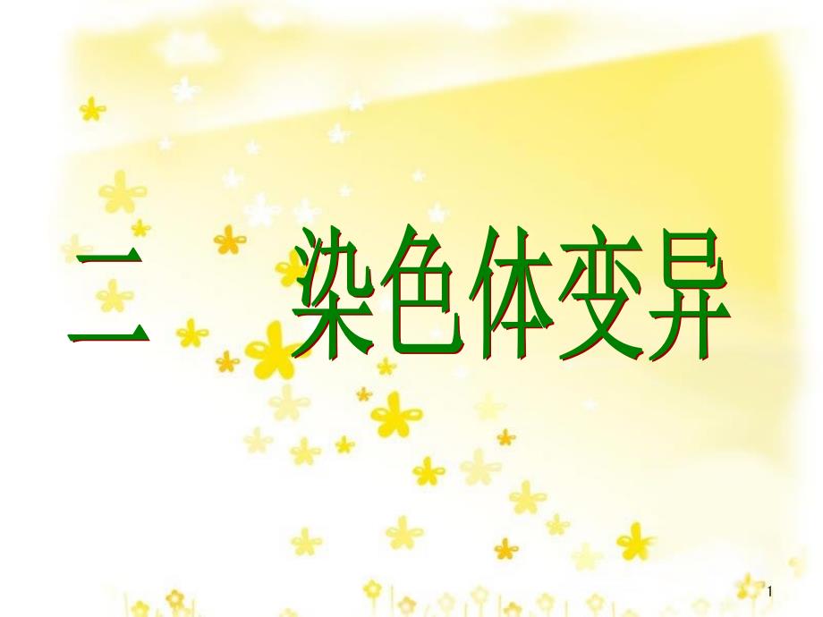 高中生物 第五章 基因突变及其他变异 5.2 染色体变异课件 新人教版必修2_第1页