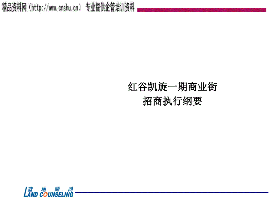 某商业街招商执行纲要_第1页