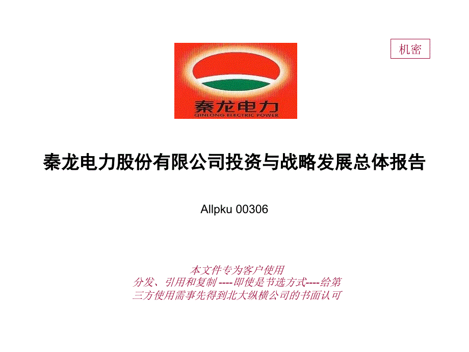 某电力公司战略发展报告书_第1页