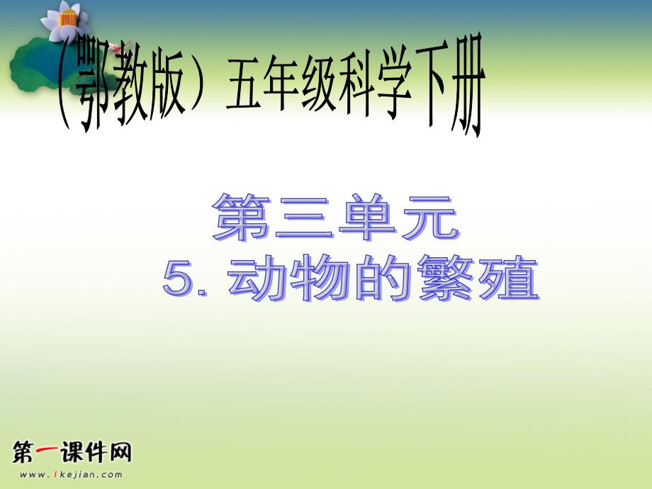 动物的繁殖（鄂教版）五年级科学下册PPT课件(教育精品)_第1页