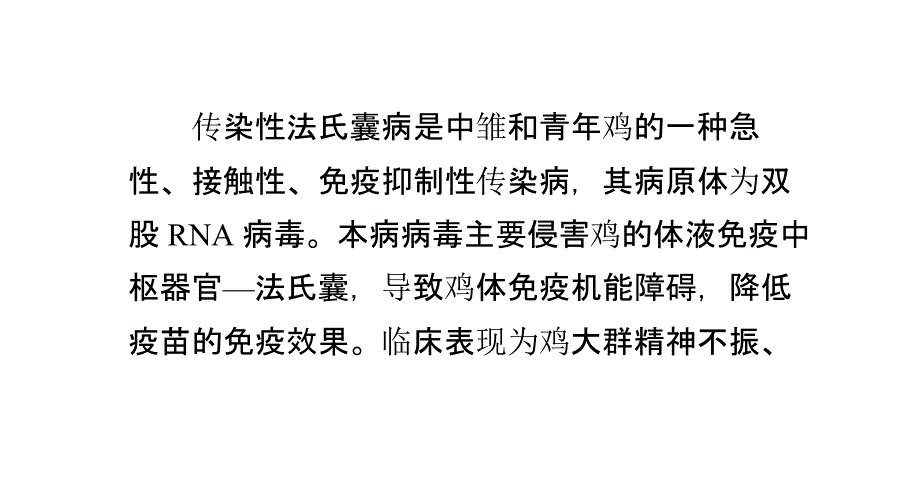 传染性法氏囊炎临床诊断及治疗方案_第1页