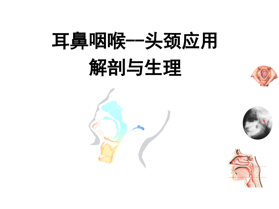 解剖学及生理学_第1页