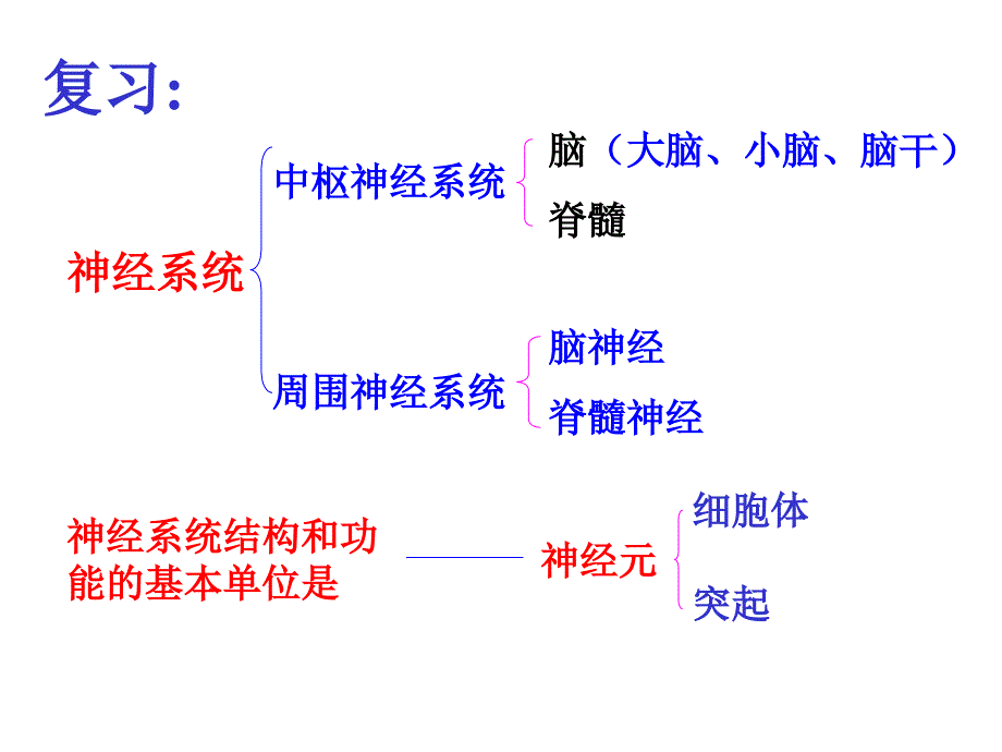 第三节神经调节的基本方式_第1页