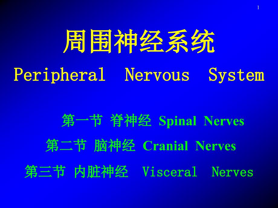 周围神经系统课件_第1页