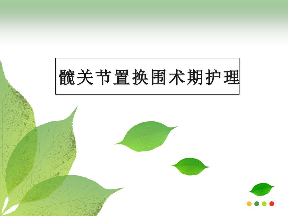 髋关节置换围手术期护理_第1页