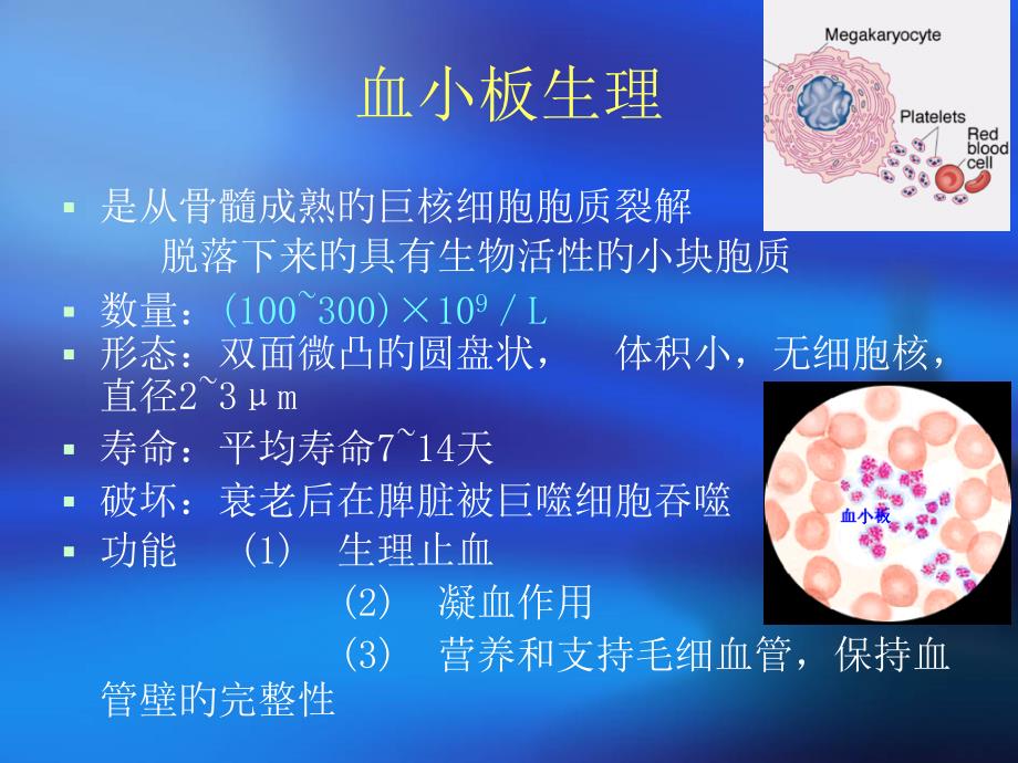 血小板生理主题医学知识专家讲座_第1页