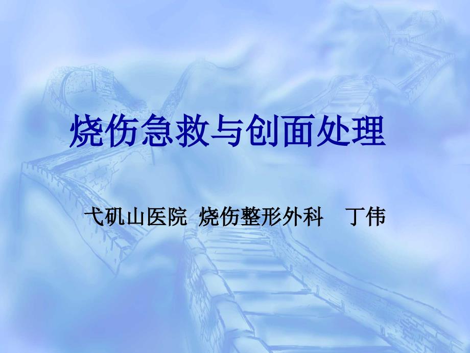 烧伤急救与创面处理专家讲座_第1页