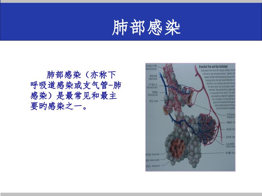 肺部感染专业医学知识宣讲_第1页