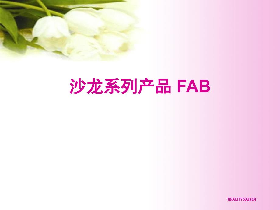 沙龍系列產(chǎn)品FAB_第1頁