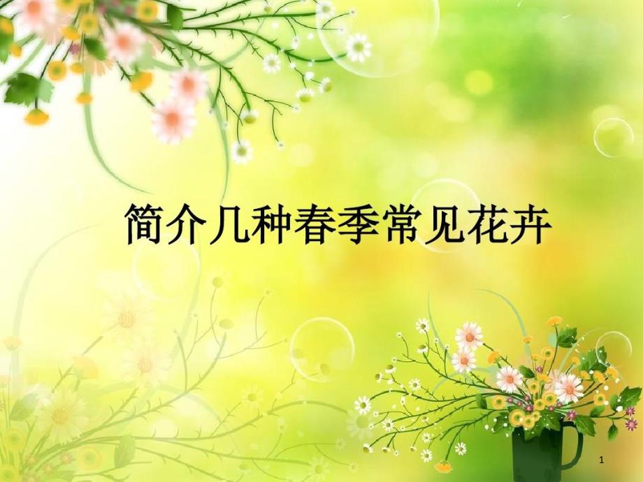 合肥春季常见花卉课件_第1页