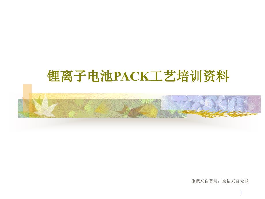 锂离子电池PACK工艺培训资料_讲义课件_第1页