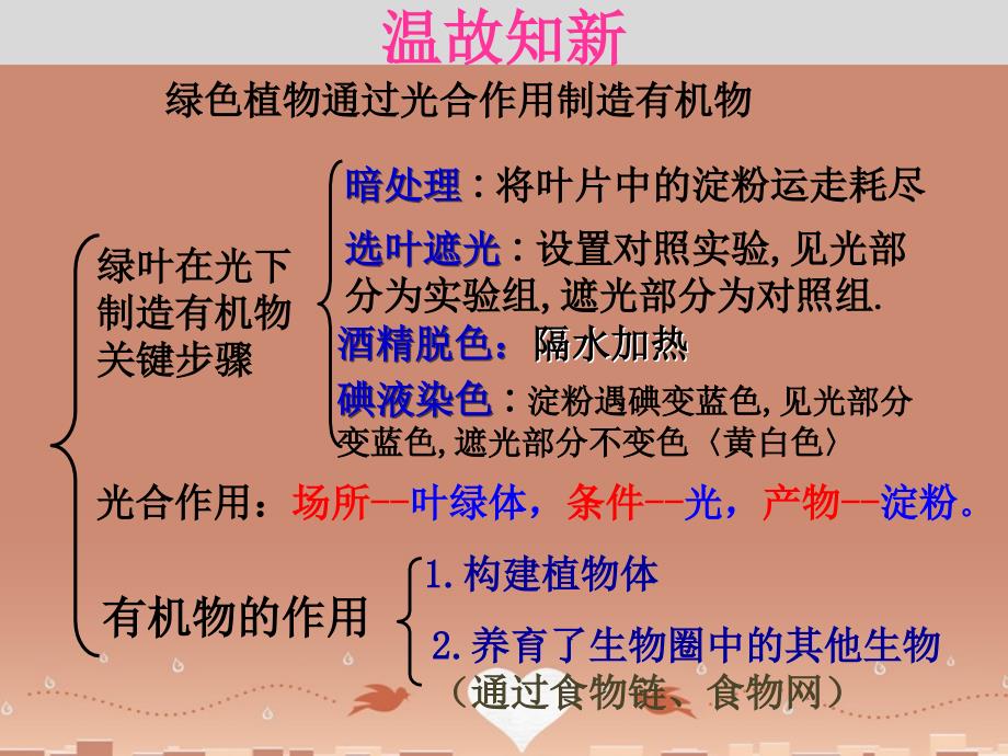 河北省平泉县第四中学七年级生物上册 351 光合作用吸收二氧化碳释放氧气课件 （新版）新人教版_第1页