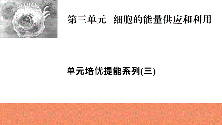 【模板可编辑】2022人教版生物：第三单元-细胞的能量供应和利用-单元培优提能系列课件_第1页