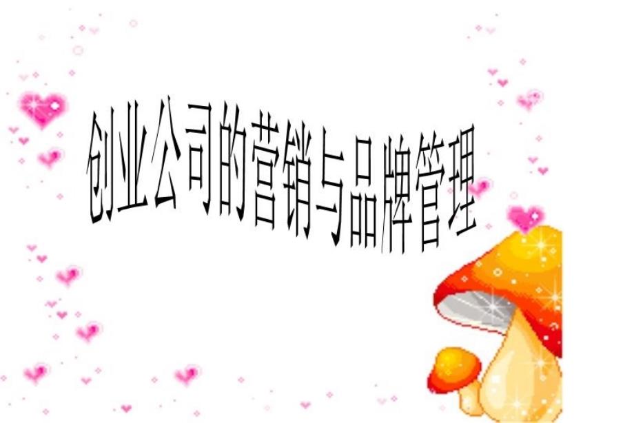 创业公司的营销与品牌管理课件_第1页