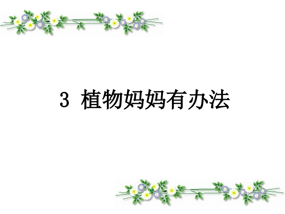 植物妈妈有办法课件课件_第1页