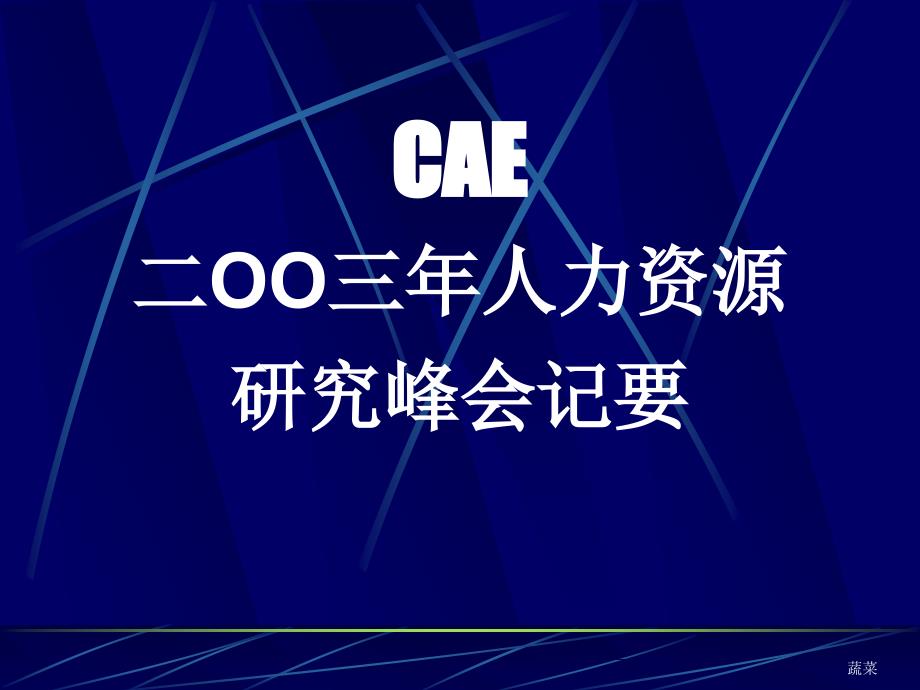 XX公司二00三年人力资源研究峰会纪要_第1页