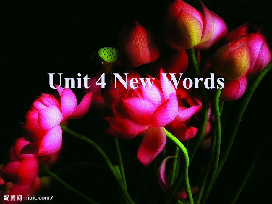 全新版大学英语2 unit 4 New Words_第1页