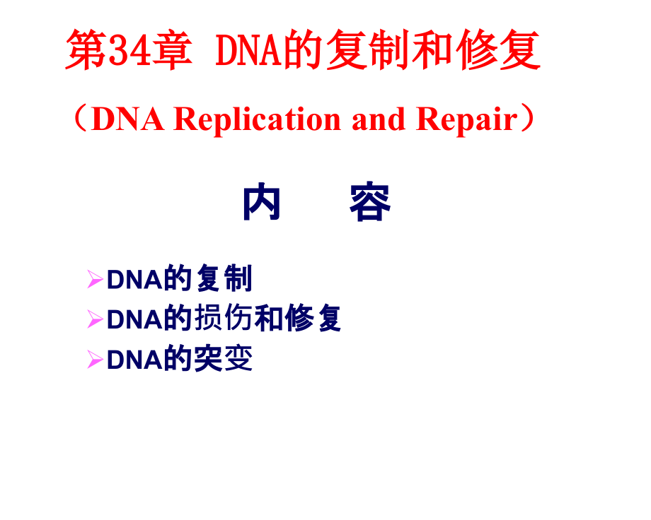 DNA的复制和修复课件_第1页