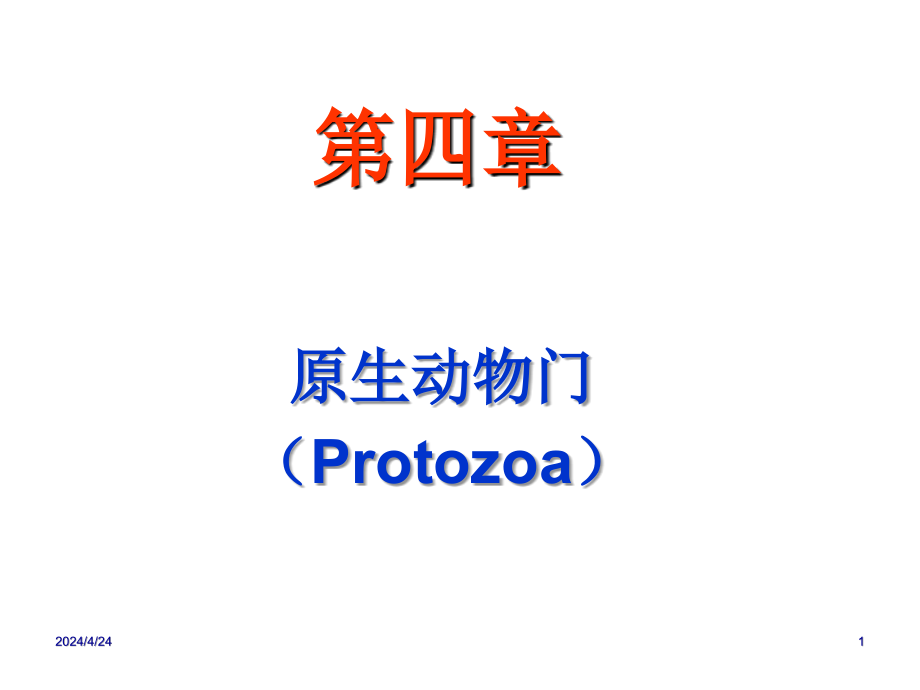 5原生动物门海绵(Protozoa)课件_第1页