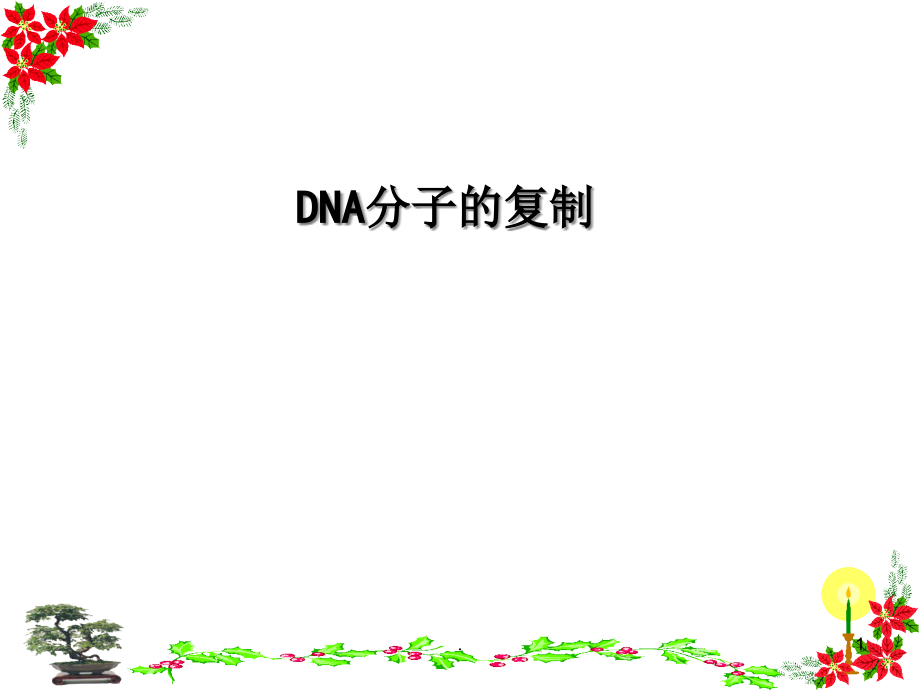 DNA分子的复制完整版课件_第1页
