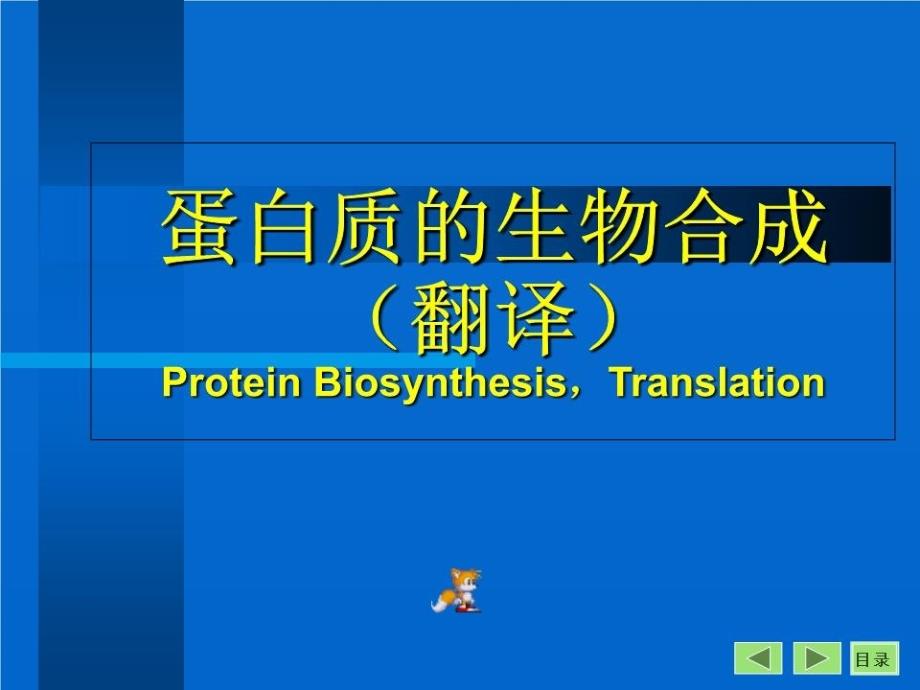 生物化学蛋白质的生物合成翻译课件_第1页