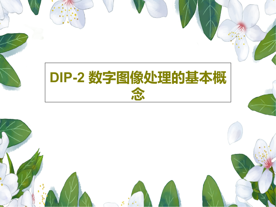 DIP-2-数字图像处理的基本概念课件_第1页