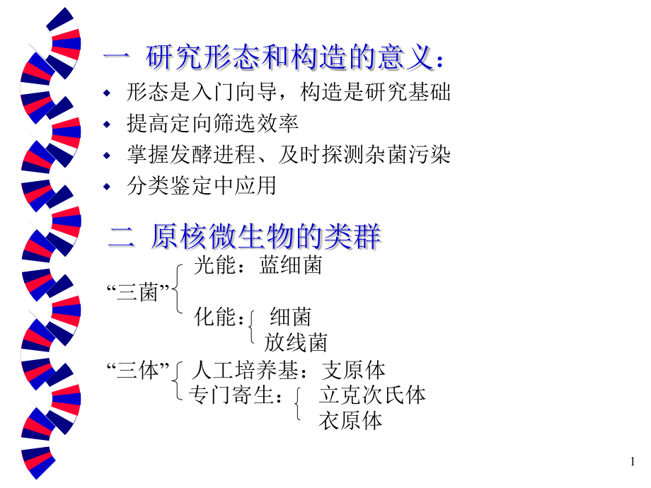 2第二章原核微生物——细菌课件_第1页