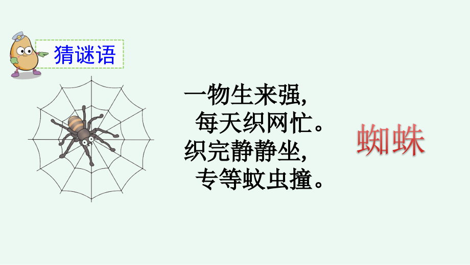 部編版二年級語文下冊《20-蜘蛛開店》課件_第1頁