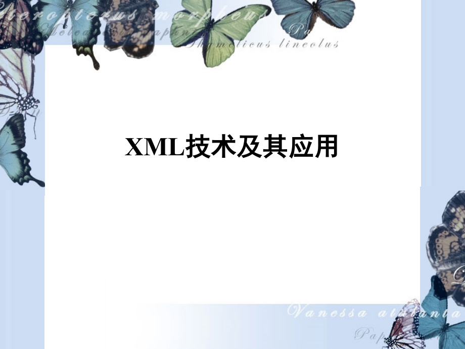 XML技术及其应用1课件_第1页