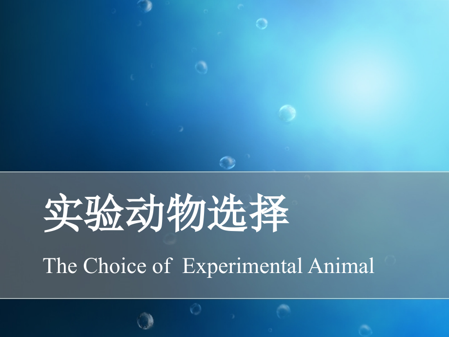 实验动物的选择ppt课件_第1页