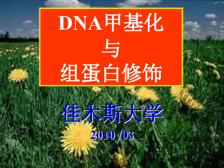 第八讲DNA甲基化与组蛋白修饰ppt课件_第1页