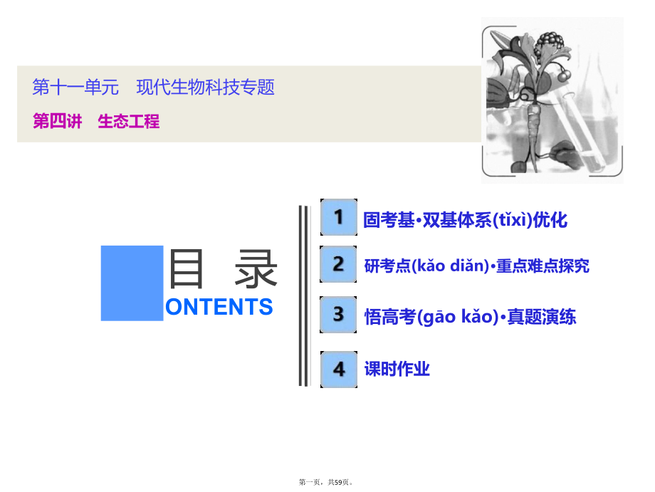 【苏教版】2019版高考一轮：114-生态工程课件(含答案)_第1页