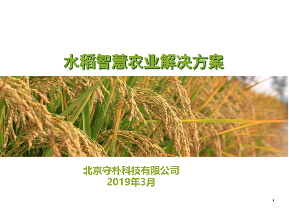 水稻项目智慧农业解决方案课件_第1页
