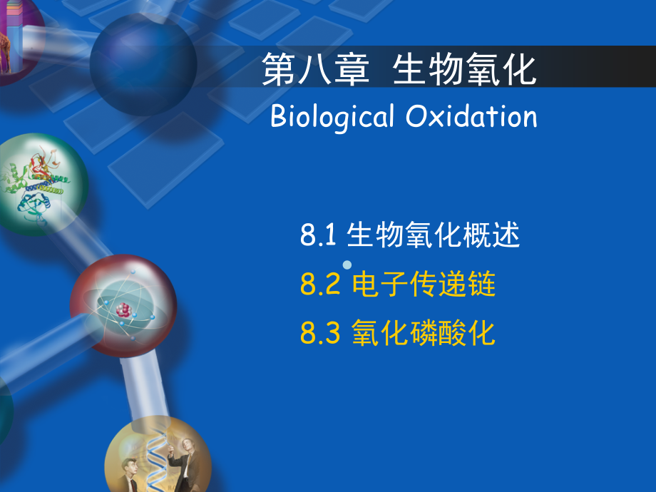 【生物化学】第五篇生物氧化第二节电子传递链课件_第1页