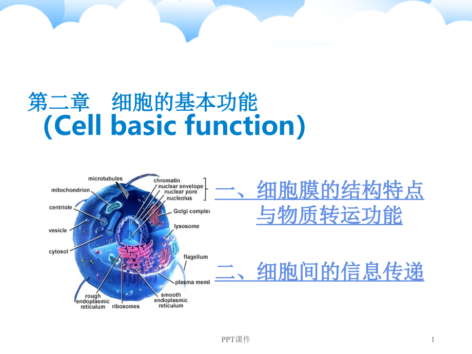 【细胞生理培训课件】细胞的基本功能--课件_第1页