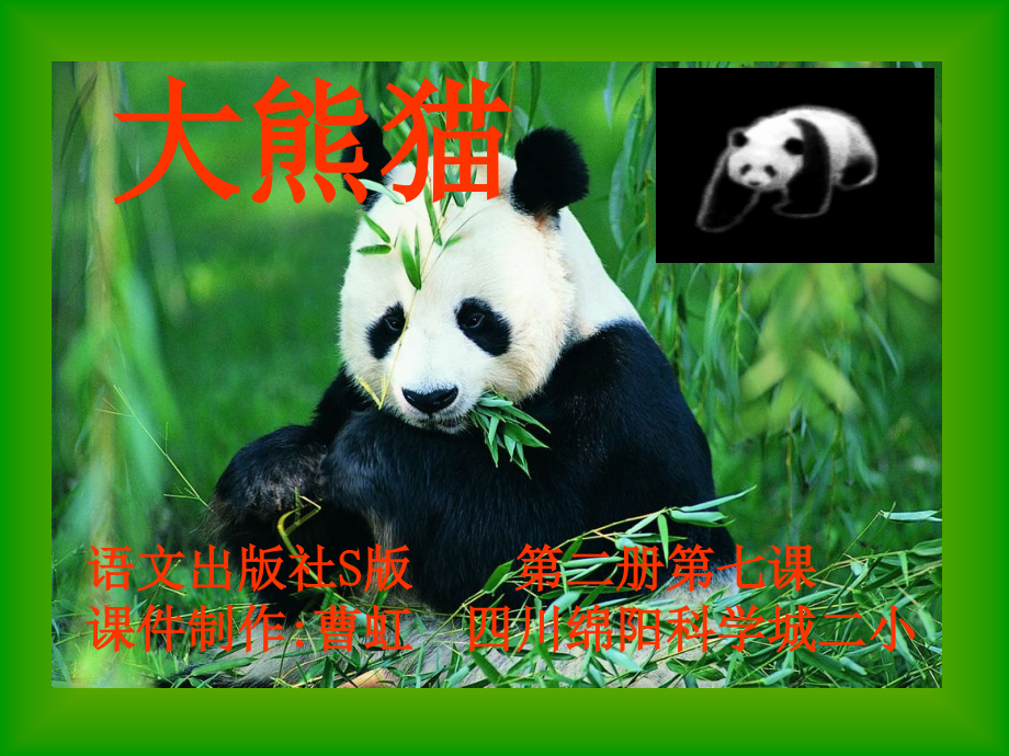 小学语文S版一年级的下册《大熊猫》课件_第1页
