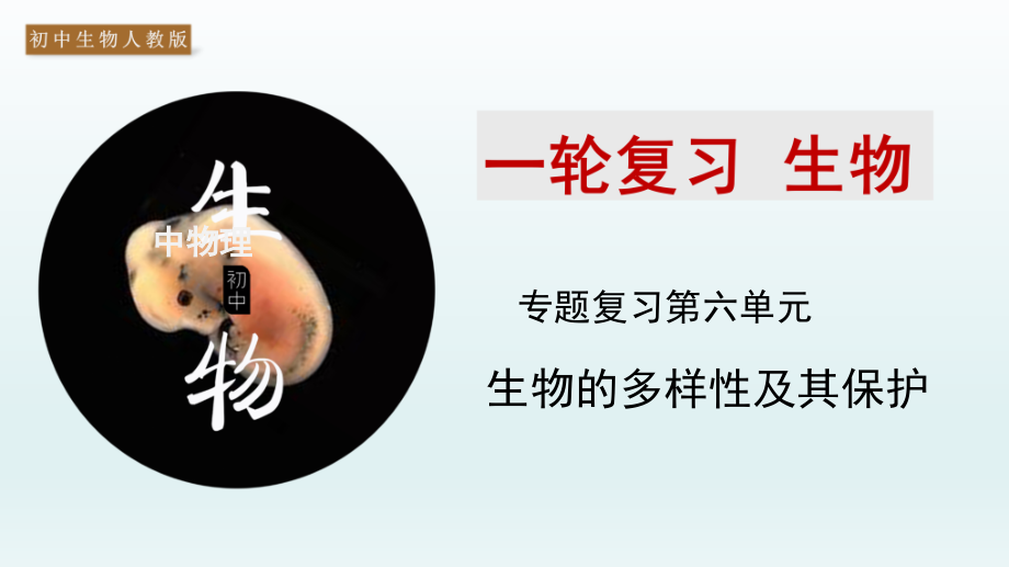 2020年中考备考生物一轮复习ppt课件专题专题18-生物的多样性及其保护_第1页