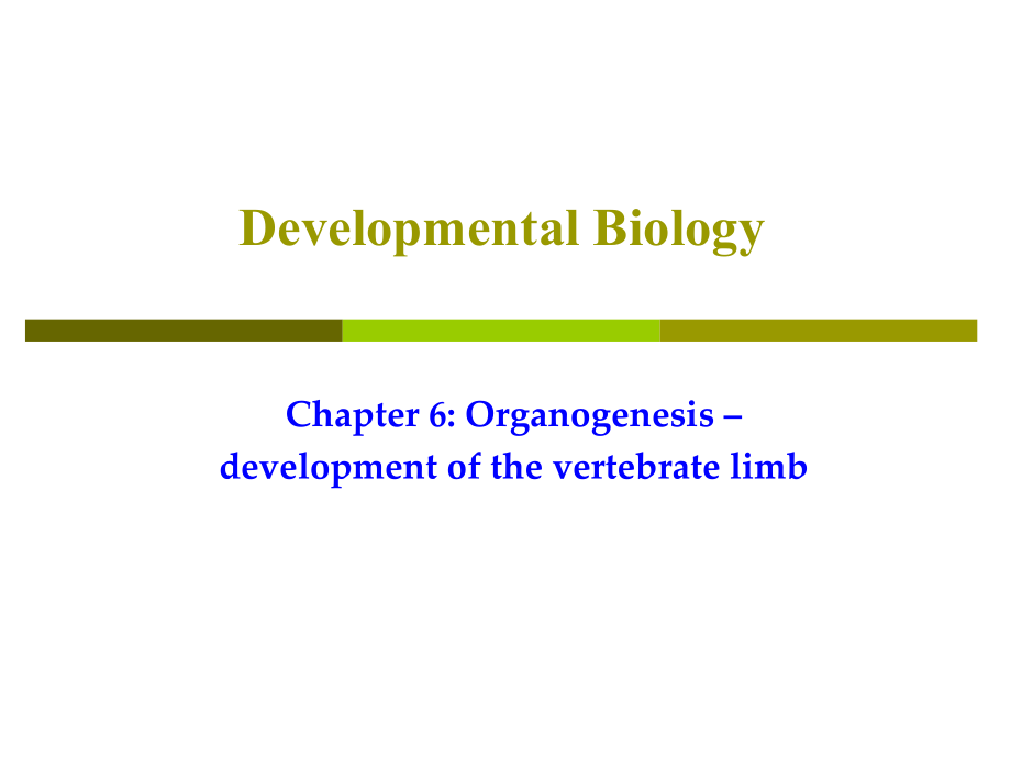 VI-胚层发育与器官系统发生(II)课件_第1页