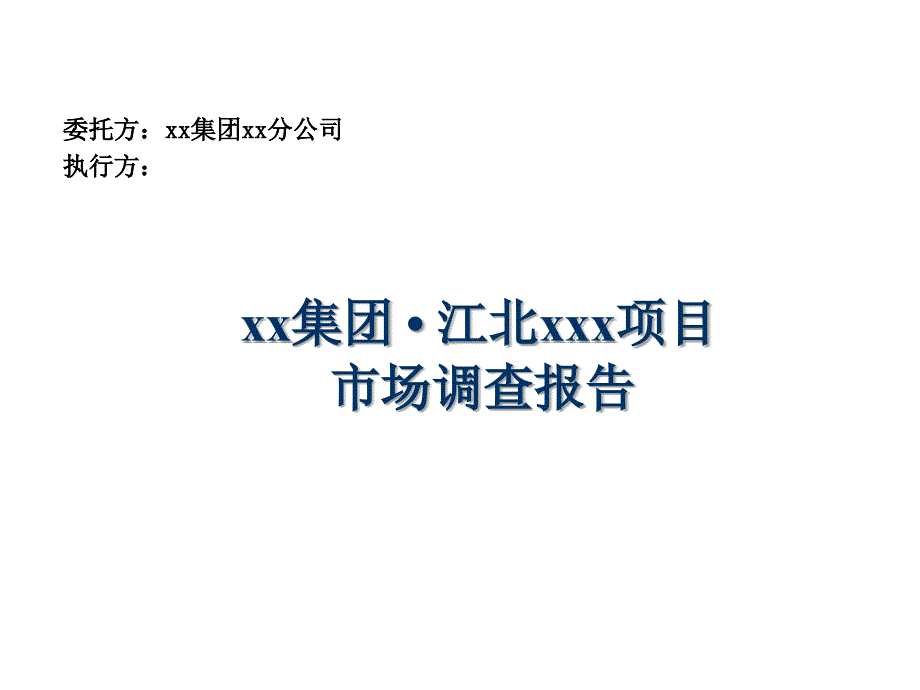 XX集团可行性报告课件_第1页