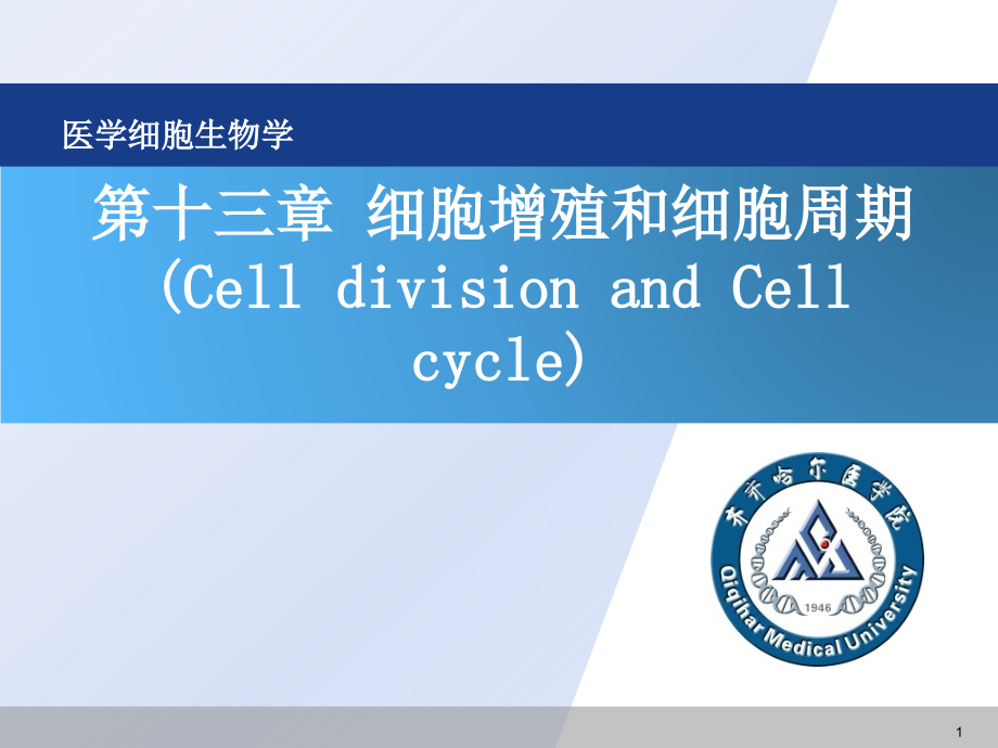 《醫(yī)學(xué)細(xì)胞生物學(xué)》細(xì)胞增殖和細(xì)胞周期--課件_第1頁