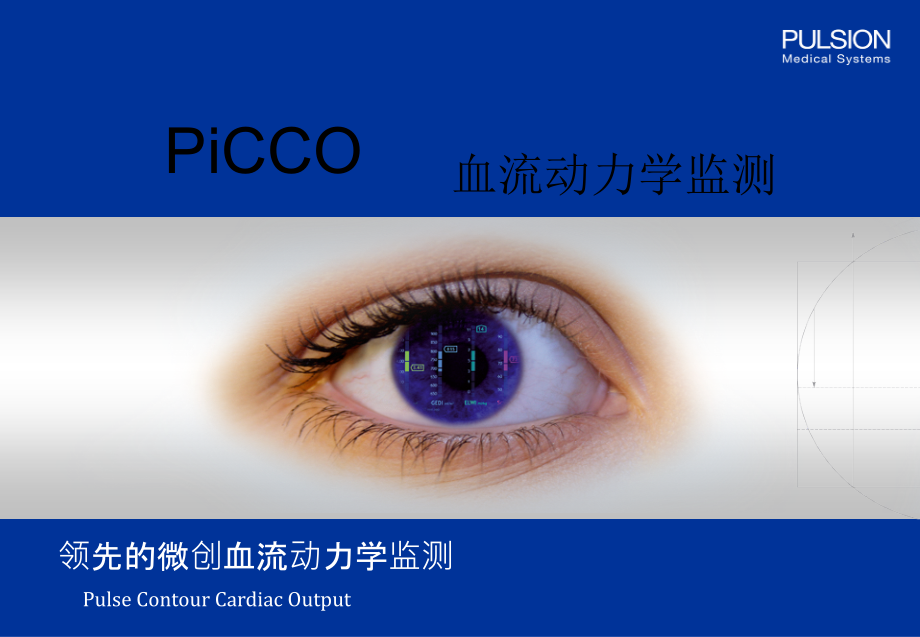 PiCCO参数解读(已看两遍-很好)ppt课件_第1页