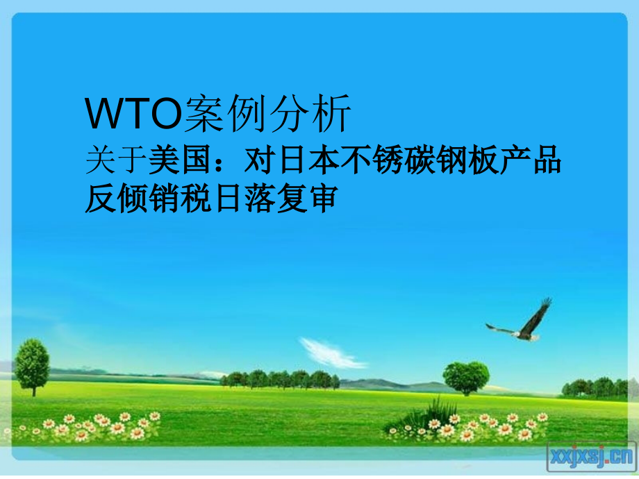 WTO案例分析—_第1页