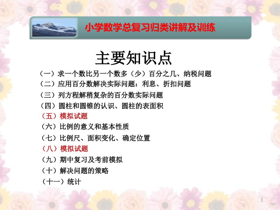 小学数学知识点分类讲解及训练(含例题解析)ppt课件_第1页